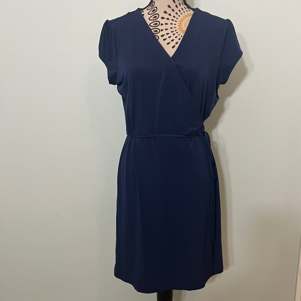 The Limited Dress, size large
